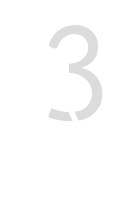A3